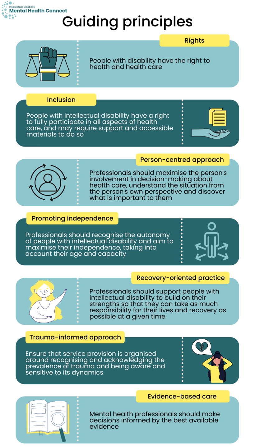 Graphic of information in text- guiding principles of care